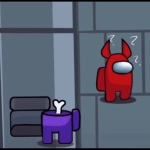 Meet your Posher, Rae